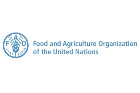 FAO LOGO